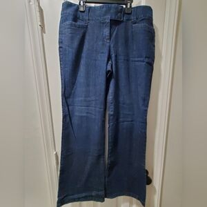 Ann Taylor denim pants